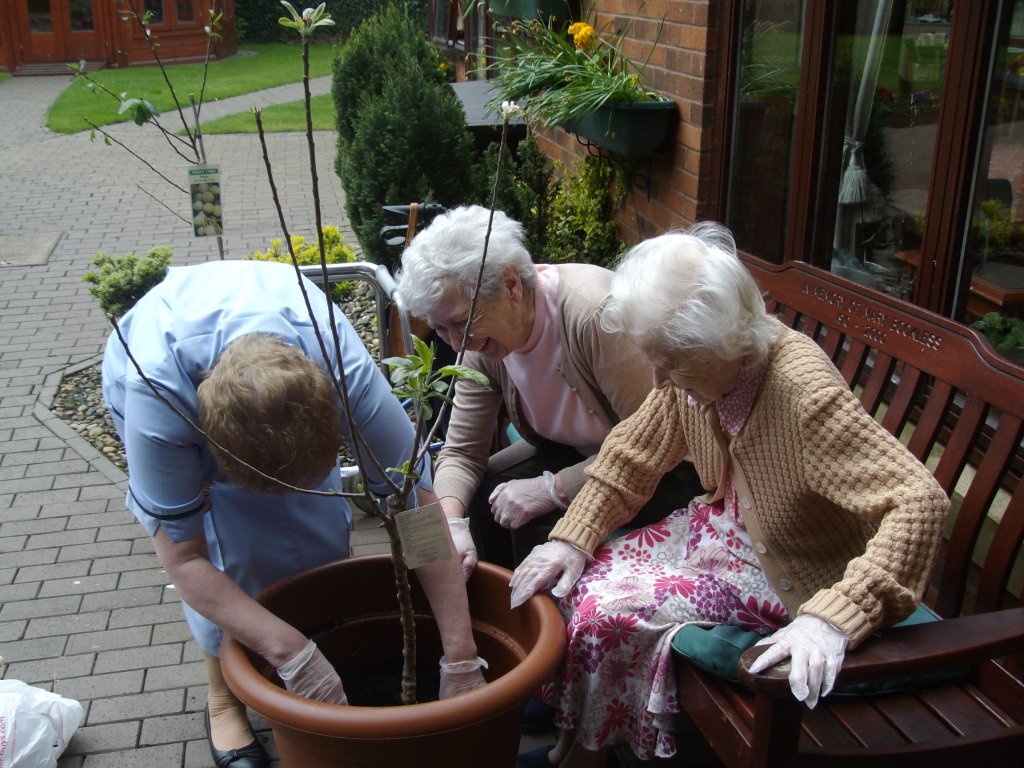 Planting a Tree for Dignity - Eothen Homes
